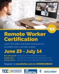 information flier about remote workshops