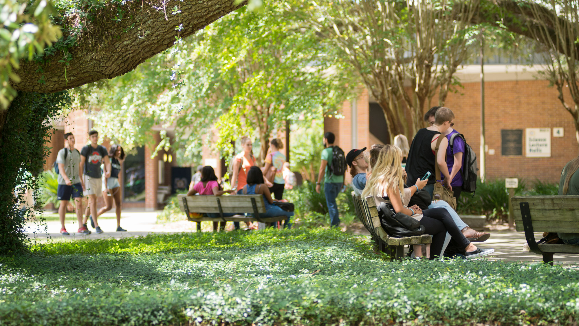 A crowd of students between classes sit and walk near the tree in front of Science and Math building
