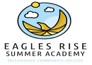 Eagle RISE Summer Academy logo