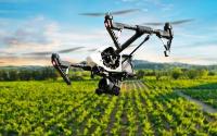 Drone flying over crops in a field