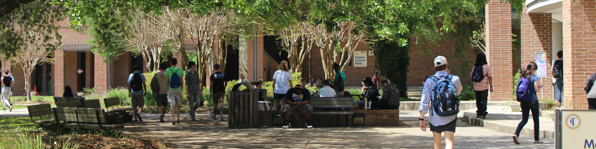 Busy campus walkway with students near SM building